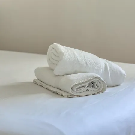 Petit Castel - T2 De 39m Au Coeur De Rue Du Gros-horloge !