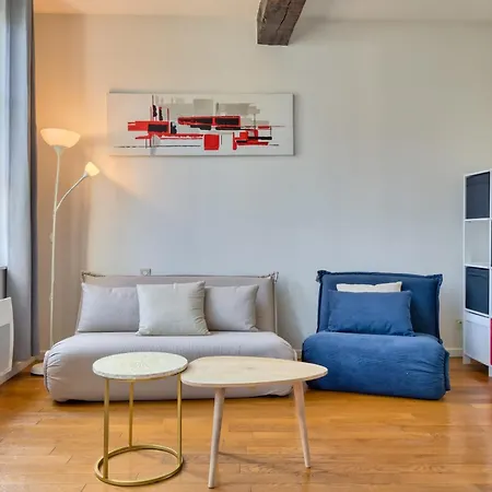 Petit Castel - T2 De 39m Au Coeur De Rue Du Gros-horloge ! Rouen