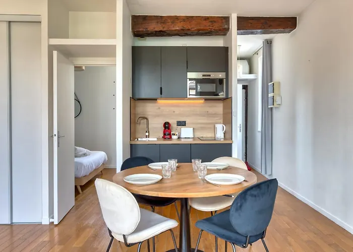 Petit Castel - T2 De 39m Au Coeur De Rue Du Gros-horloge ! Rouen