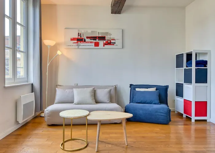 Petit Castel - T2 De 39m Au Coeur De Rue Du Gros-horloge ! Rouen